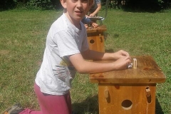 17