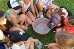 att.UPX_7IqtlYEwySnUG_DjS5Dkl8bjJ3hJSeaFtqBeCqw